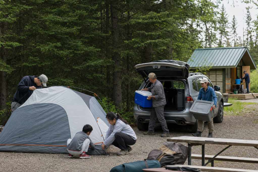 Canadian provincial parks camping trends who is camping now