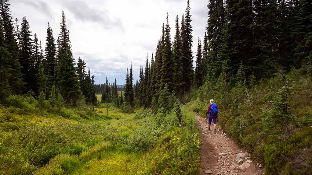 A woman hiking along a narrow trail through dense forest in Garibaldi Provincial Park, British Columbia, Canada.